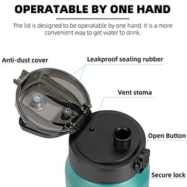 Fanhaw - Botella Térmica de Acero Inoxidable de 24 Onzas con Tapa Chug, Aislada, Tapa Antipolvo, Apta para Lavavajillas, 710 ml, Verde Azul           