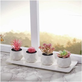 CADNLY Small Fake Desk Plant - Artificial Succulent Plants for Women Desk - Realistic Faux Succulents in White Ceramic Pots – Mini Pink Succulent Decor for Bedroom Bathroom Bookshelf Office