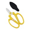handokurie-syon Yellow F170