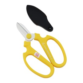 handokurie-syon Yellow F170