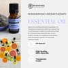 Plantlife Grapefruit Aromatherapy Essential Oil - Straight from The Plant