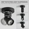 Opulux LED Dimmable Indoor Ceiling Spot Light, Hardwire Directional Fixture