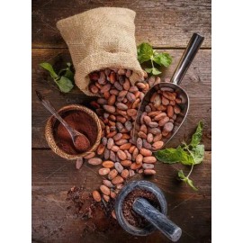 Cacao Criollo En Grano 100% Puro, Natural, Orgánico, 1 Kg