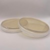Prepoured Nutrient Agar Plate Petri Dishes Growing Kit Science Projects