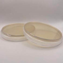 Prepoured Nutrient Agar Plate Petri Dishes Growing Kit Science Projects Supplies Culture Dishes for School Science Seedling 9CM (2)