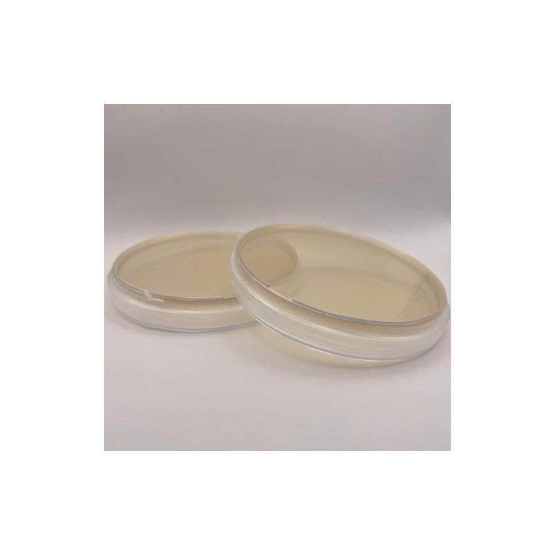 Prepoured Nutrient Agar Plate Petri Dishes Growing Kit Science Projects