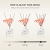Airkeep Reed Diffuser Set,3.38 fl oz (100 ml) - English