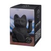 Donkey Products Lucky Cat 330466 Waving Cat Plastic 15 cm