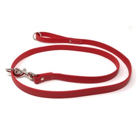 Regal Dog Products Waterproof Leash – 5 ft. Red Dog Leash with Easy to Use Collar Hook, Lightweight, and Odor Proof Training Pet Lead with Vinyl-Coated Webbing for Small, Medium, Large, or XL Dogs