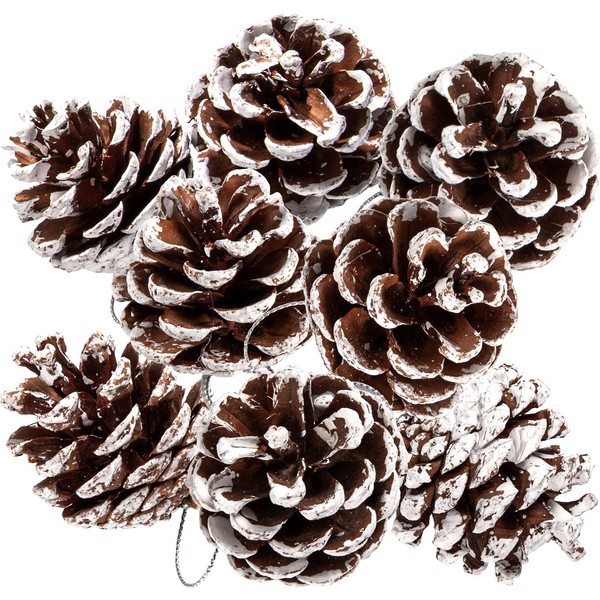 Whaline 25Pcs Christmas Natural Pine Cones Bulk Rustic Snow Pinecones with String Pine Cone Pendant Winter Holiday Hanging Ornament for Xmas Tree Gift Tag Party Decoration, 1.6-2 Inch
