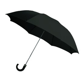Rainbrella - Paraguas abierto automático de 2 pliegues