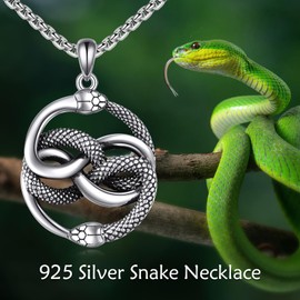 SILBAZ Snake Necklace for Men 925 Sterling Silver Snake Pendant Double Snake Jewelry Auryn Necklace Never Ending Story Pendant Birthday Christmas Gifts for Father Boyfriend