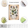 Placa botánica de Ashwagandha – Withania Somnifera 30x45 cm, impresión