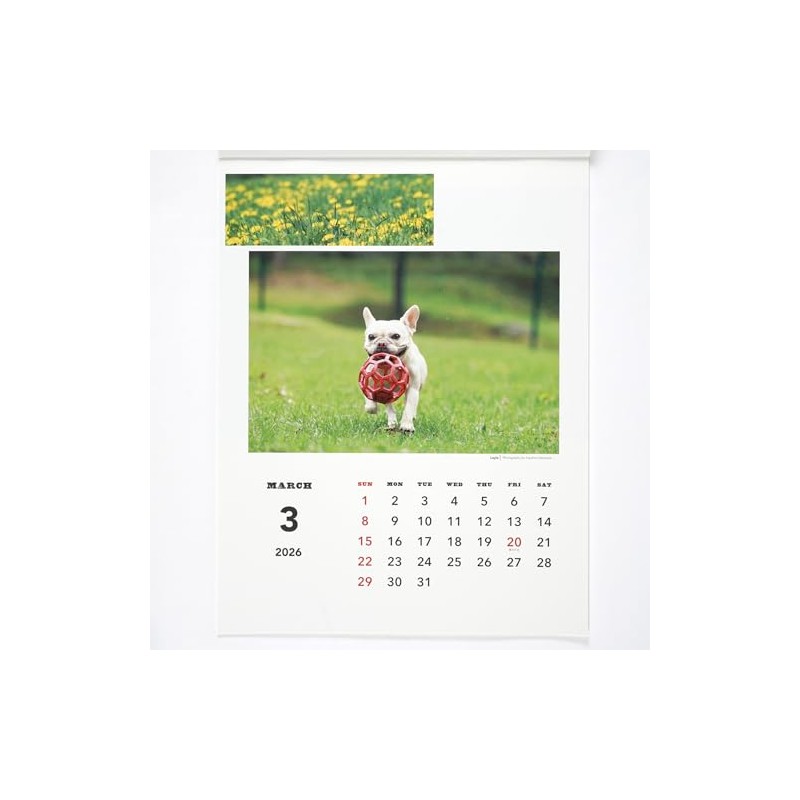 Greeting Life 2026 Calendar Natsuhiko Family Wall Hanging C-1741-NA