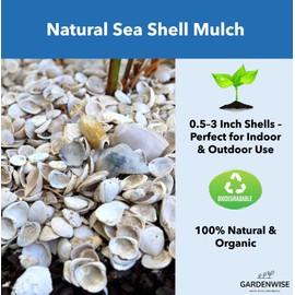 GARDENWISE Natural Organic Sea Shell Mulch for Gardens and Landscaping – Decorative and Nutrient-Rich, 0.5–3-Inch Shells, Perfect for Indoor and Outdoor Use (0.5 CF - 14 L - 15 QTS)