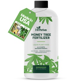 32oz Money Tree Fertilizer - Makes 96 Gallons of Fertilizer for Money Tree Plant Indoor and Outdoor - 6-2-4 NPK Plant Food for Glossy Leaves, Strong Roots, and Lush, Tropical Growth