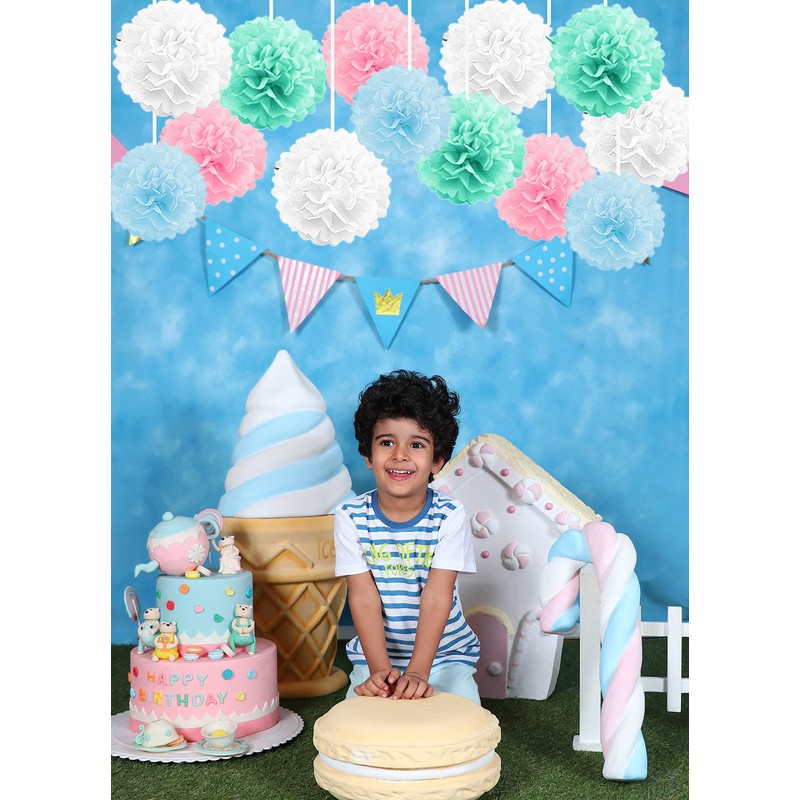 Pack of 10 Tissue Paper Flower Ball Pom pom Party