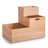 Zeller 13306 Multi-Purpose Box 30 x 20 x 15 cm