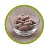 OPC Pycnogenol® (Pinienrindenextrakt) - mit Vitamin C aus der Acerolakirsche