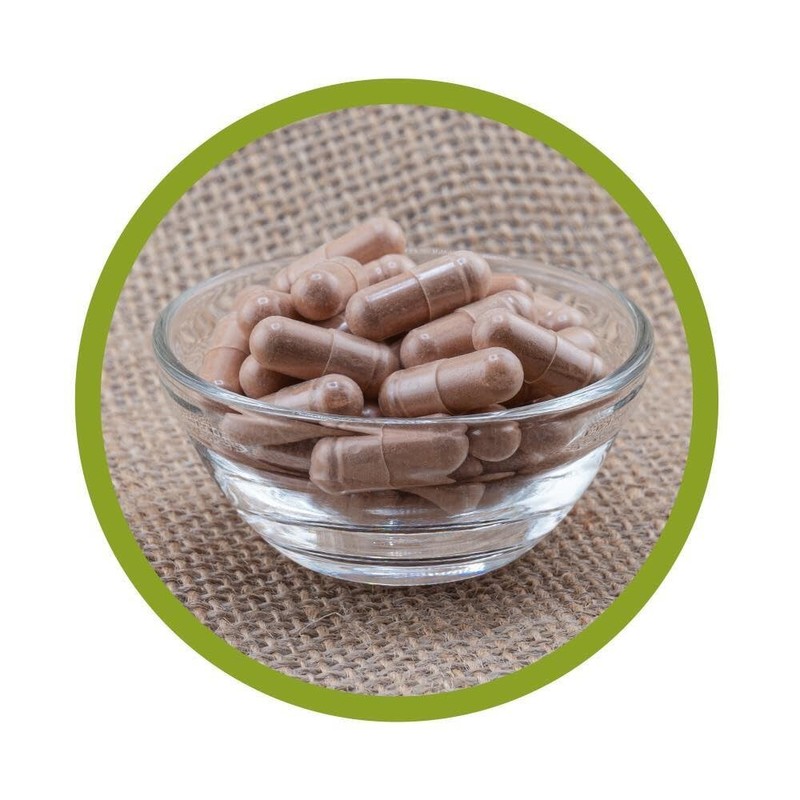 OPC Pycnogenol® (Pinienrindenextrakt) - mit Vitamin C aus der Acerolakirsche