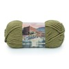 Lion Brand Yarn Yarn, Acrylic, Lakeland Olive, One Size