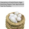 JVHLOV 20x Solid Plastic Dummy Fake Eggs, Dummy Eggs Dove,