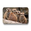 Merchandise for Fans Meerkat Fridge Magnets Rectangular 7 x 4.5