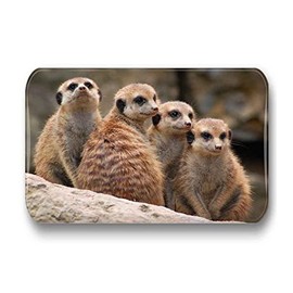Merchandise for Fans Meerkat Fridge Magnets Rectangular 7 x 4.5 cm 01 for Memo Board Notice Board Magnetic Whiteboard Pack of 6