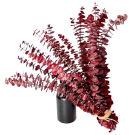 (20Pcs) Dried-Eucalyptus-Stems-Red, Fall Decorations for Home, Real Long Eucalyptus , Eucalyptus Plant Live Natural Fresh, Dried Flowers for Vase, 17" Floral Arrangement, Wedding (Red)