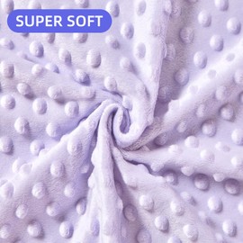 iEvolve Baby Nursery Bed Blankets Ultra Soft Double Layer Mini Blanket Minky Blanket Receiving Blankets Shower Gifts(30"*40",Butterfly)