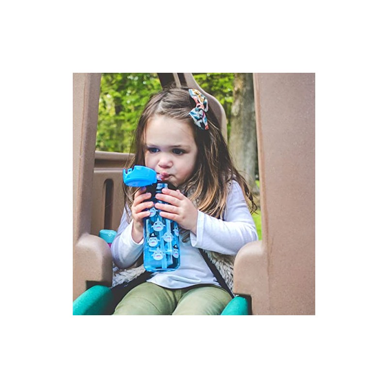 Nuby 2-Pack Kid’s Printed Flip-it Active Water Bottle with Push