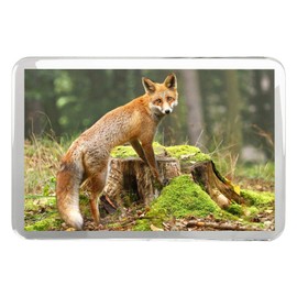 Ginger Fox Classic Fridge Magnet - Wildlife Nature Animal Woodland Gift #8220