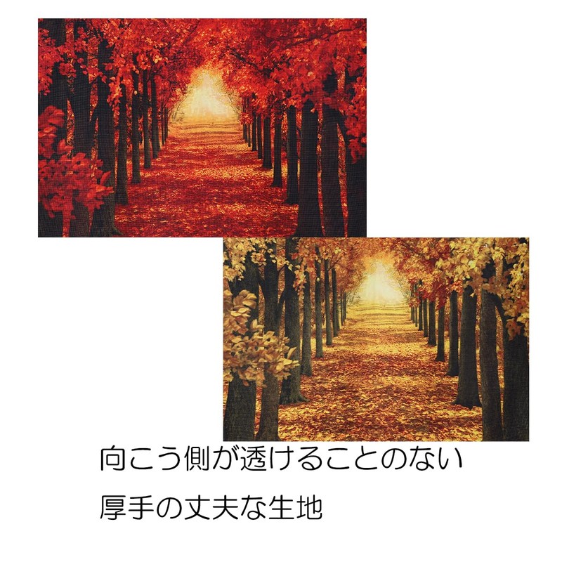 next.design Noren Noren, Long Length, 70.9 inches (180 cm), Autumn