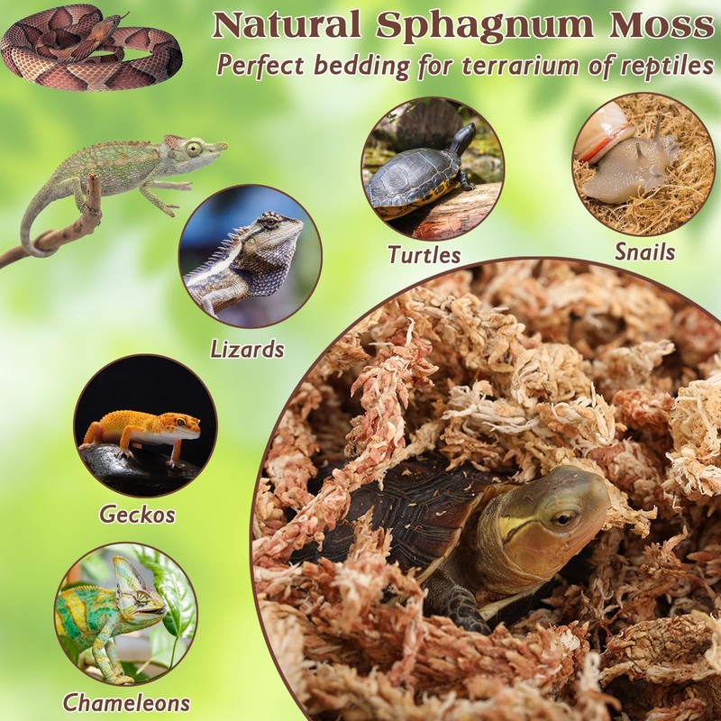 ZeeDix 6 oz Premium Sphagnum Moss for Reptiles, 8 qt