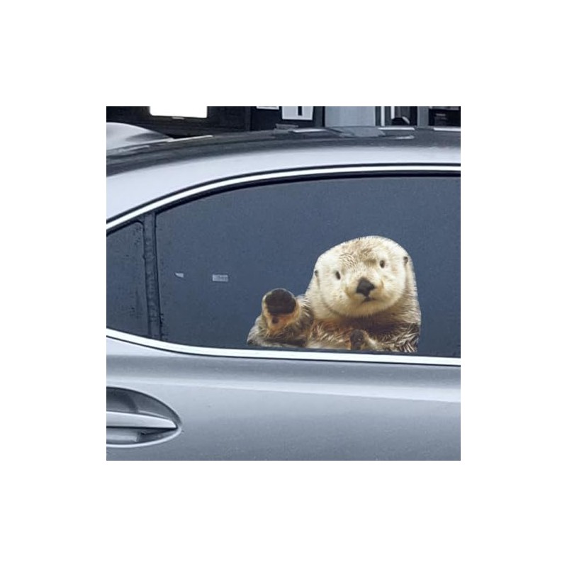 Animal Car Window Decals Funny 3D Weatherproof Decals (Otter)