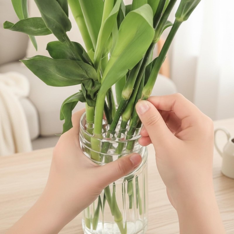 6-Piece Transparent Flower Frog Set, Small & Medium Arrangement Tools