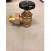 Legend Valve Bronze Steam Angle 110-105