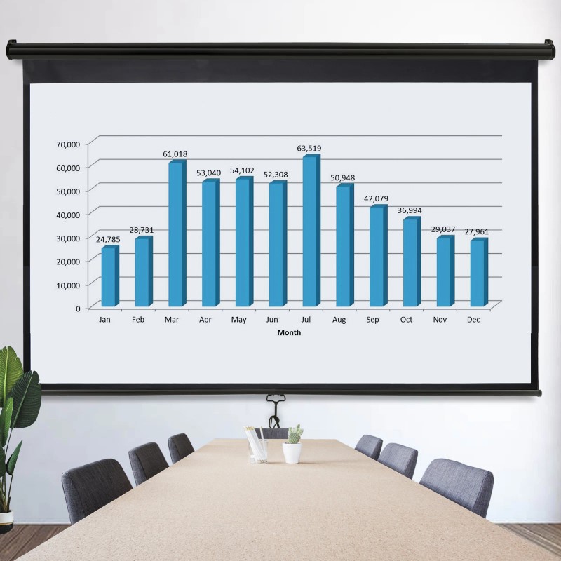 Segawe 100" Pull Down Projection Screen 16:9 HD Home Theater