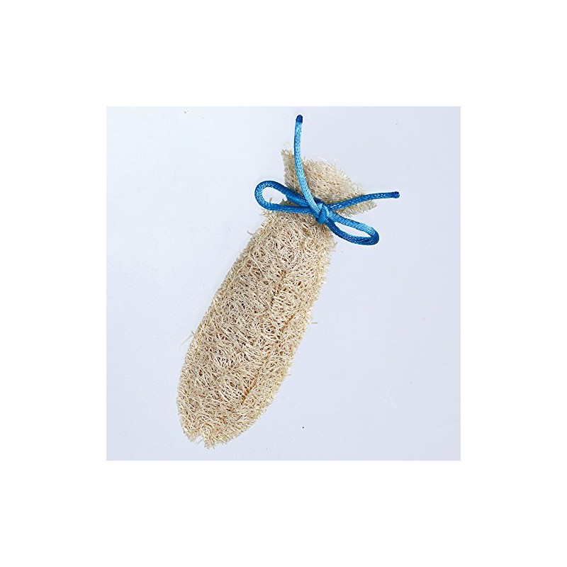 CattyMan Nyan Dent Loofah Toothpaste Fish