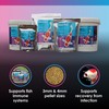 NT Labs Medikoi Health, Complete Feed For All Pond Fish,
