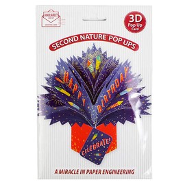Second Nature Birthday Card with Fireworks Pop Up Greeting Card - POP185