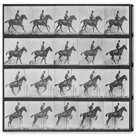Oliver Gal ''Stages of a Jumping Horse" Canvas Art, 20" x 20"