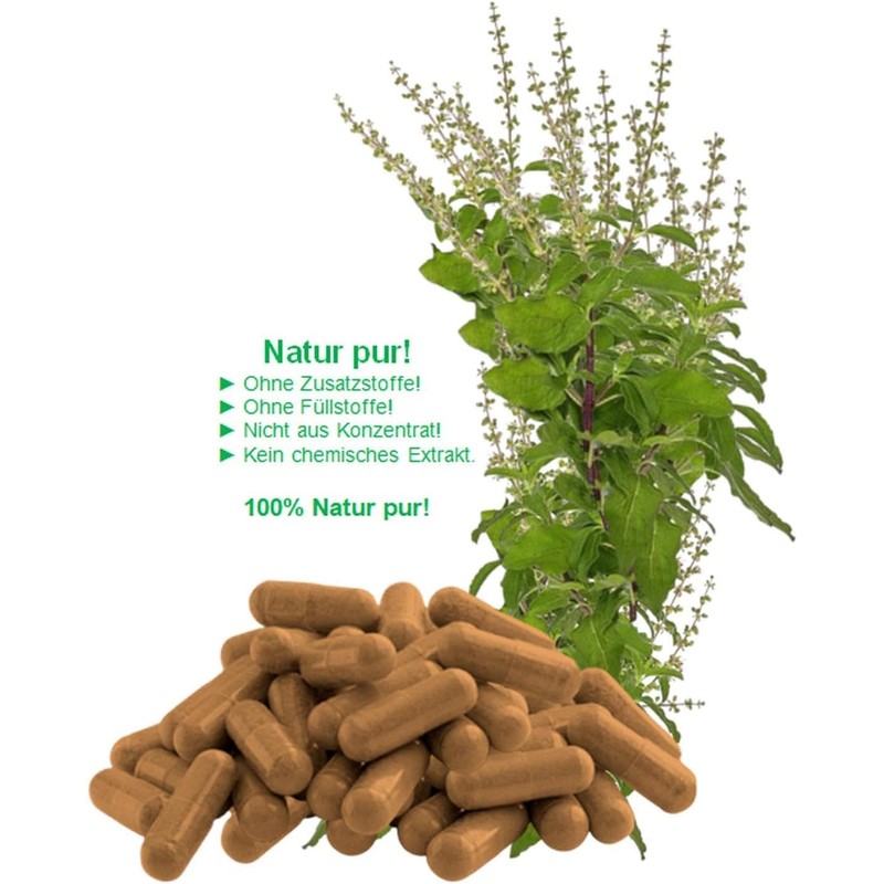 Tulsi Holy Indian Basil Ayurveda Royal Herb 240 (2 x