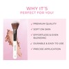 PRAUSH P01 - Professional Powder Big Brush