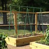 EcoStake 4ft Garden Stakes for Plants Vegetable Fence Post, 1/4"