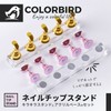 COLORBIRD Nail Tip Stand Magnet Nail Tip Nail Stand Clear