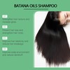 Nourishing Batana Oil Shampoo | Deep Cleansing & Gentle Clarifying
