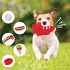 Molly & Mo Squeaky Dog Chew Toy Set (Baseball Red)