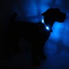 LEUCHTIE® Light Collar Plus I LED Collar for Dogs I