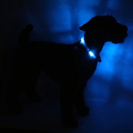 LEUCHTIE® Light Collar Plus I LED Collar for Dogs I 100 Hours of Light Duration I Waterproof I Extremely Bright, 47.5